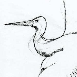 Crane